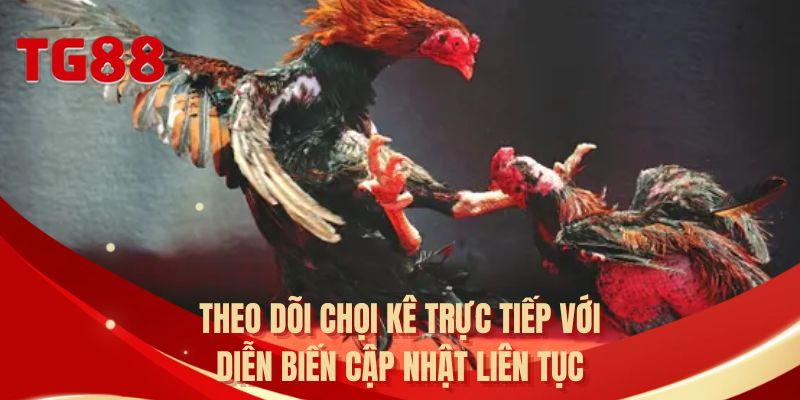 Theo dõi chọi kê trực tiếp với diễn biến cập nhật liên tục